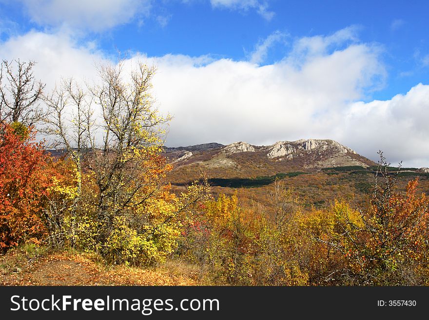 Tree in yellow leaves on a background mountains beautiful clouds dark blue sky