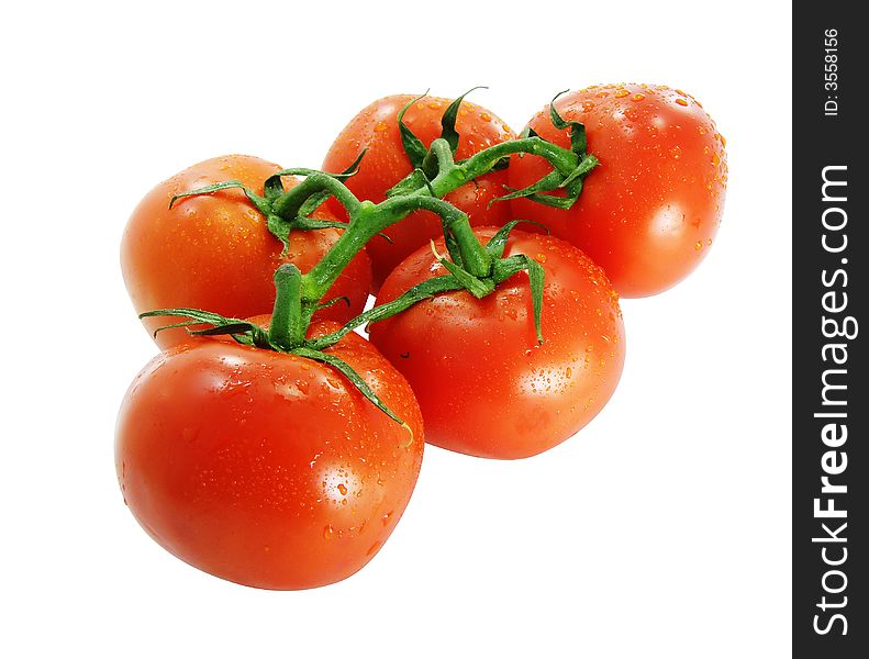 Red branch of ripe by tomatoes isolated with clipping path included. Red branch of ripe by tomatoes isolated with clipping path included