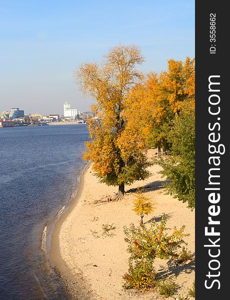 Yellow tree ashore the beautiful city river