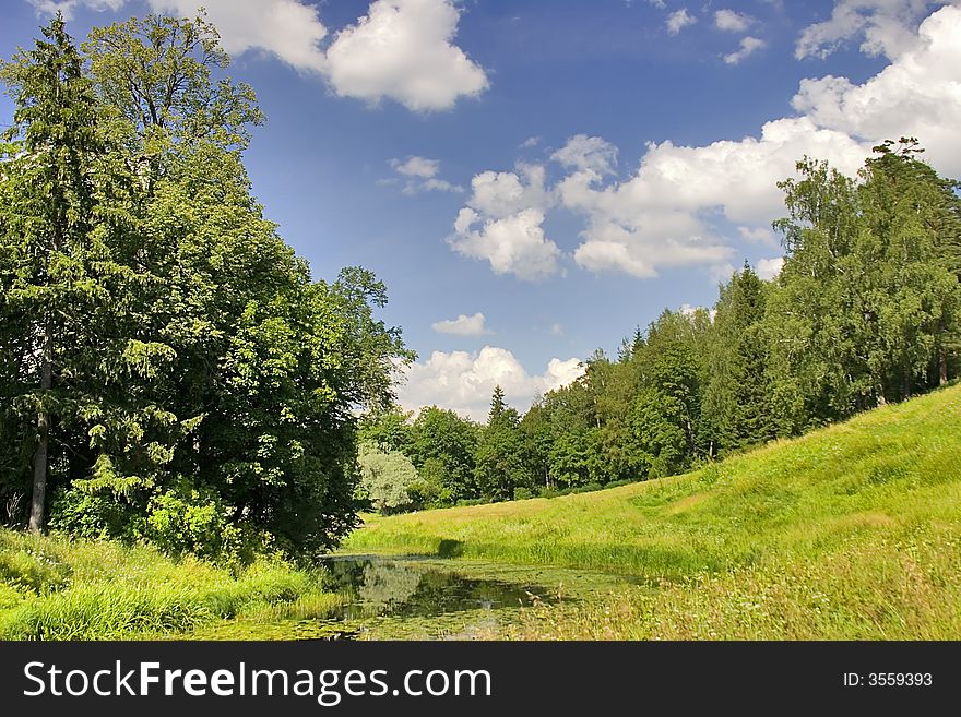 Pond In Summer Forest