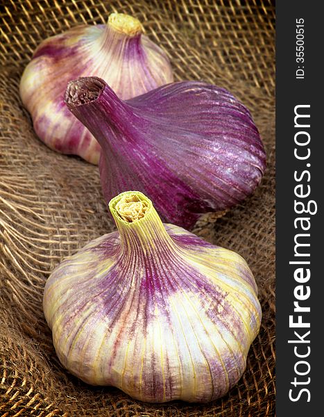 Three Perfect Pink Garlic closeup on Burlap background