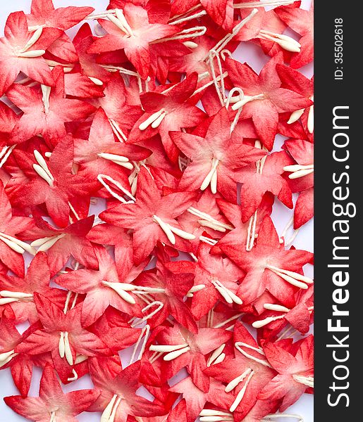 Group of red handicraft paper flower