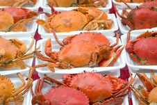 Steamed Crabs Stock Photo