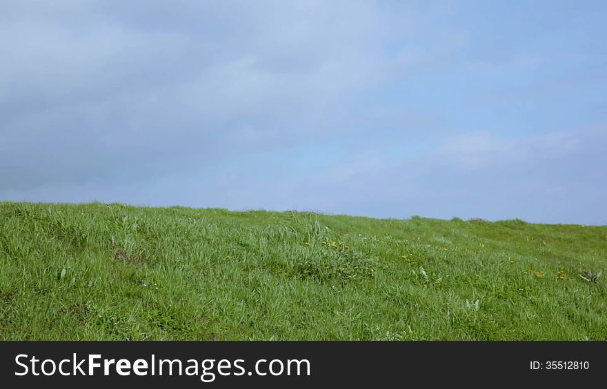 Grass And Blue Sky Green And Blue 1080p Space For Text Intro