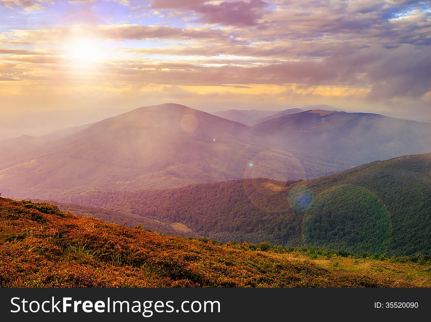 Morning light on mountain slope with forest