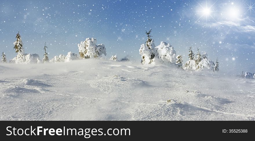 Christmas Background With Snowy Fir Trees