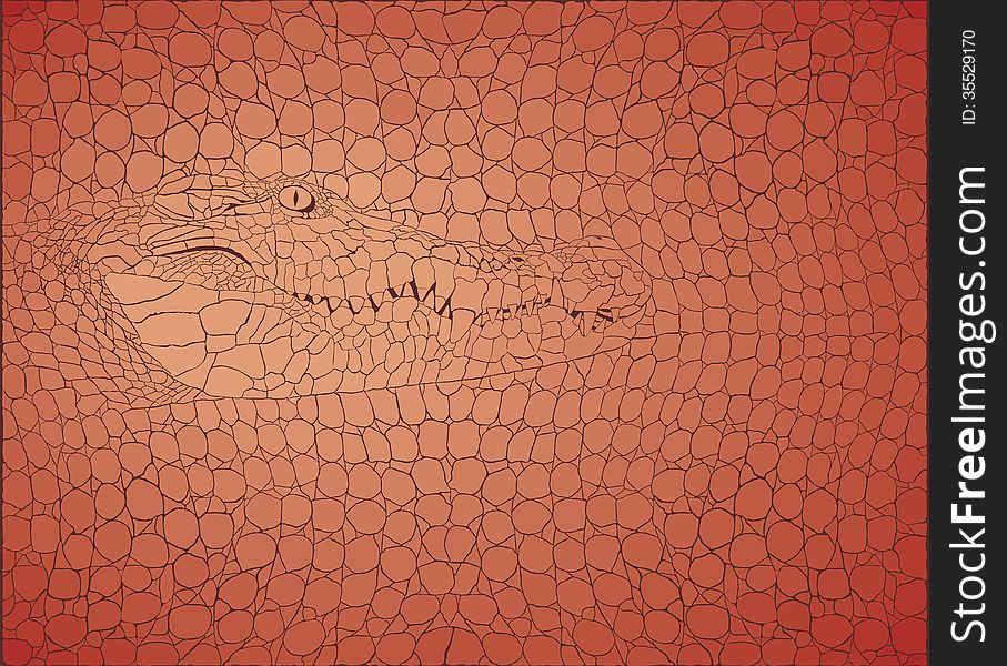 Vector illustration pattern background crocodile skins and heads