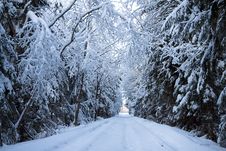 Winter Landscape With The Forest And The Road Royalty Free Stock Photo Winter Landscape With The Forest And The Road Royalty Free Stock Photo