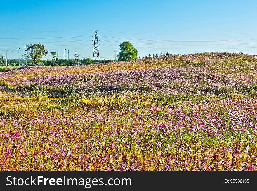 The photo taken in China's heilongjian province daqing city,daqing oil field.The time is September 18, 2013. The photo taken in China's heilongjian province daqing city,daqing oil field.The time is September 18, 2013.