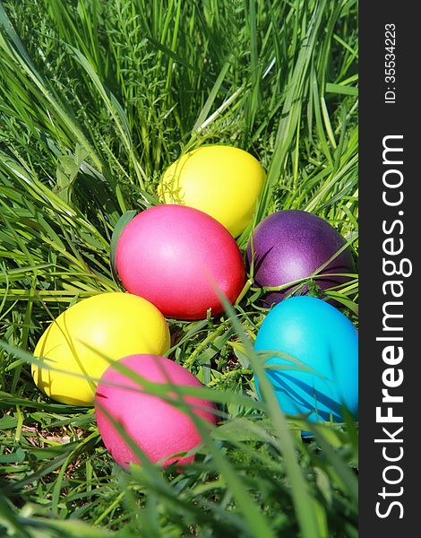 Colorful Easter eggs on the grass close up on a sunny day