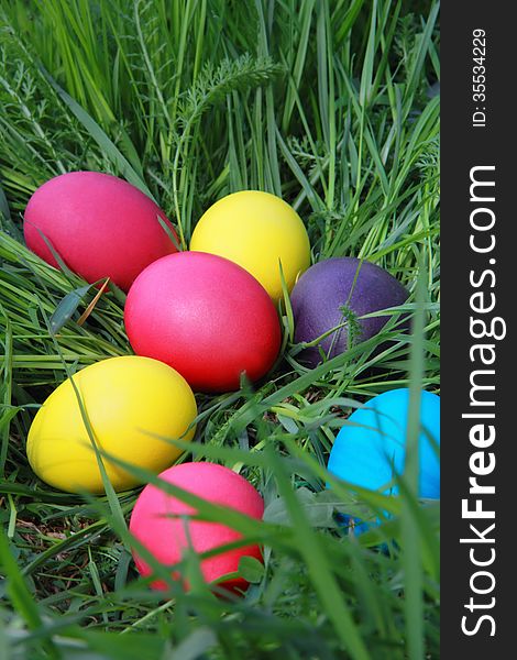 Multicolored Easter eggs on the grass close up