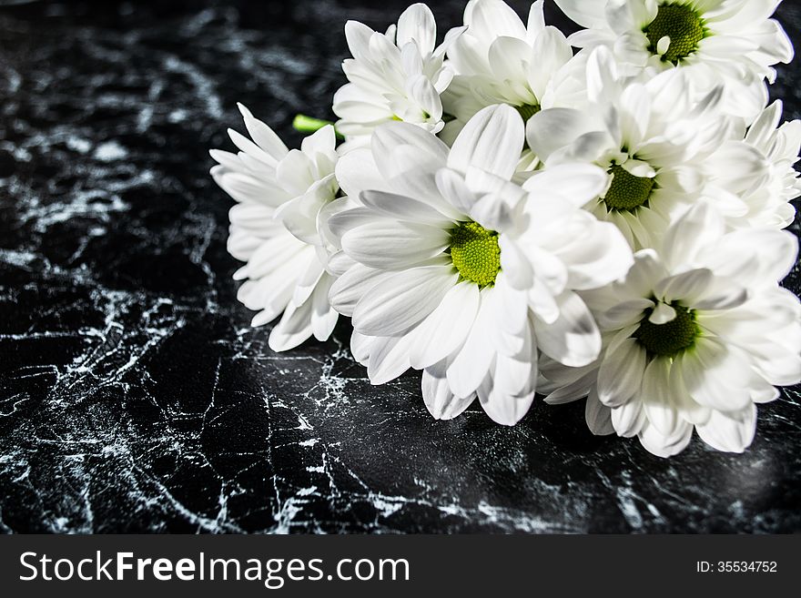 Background, texture, bouquet of daisies on the original background