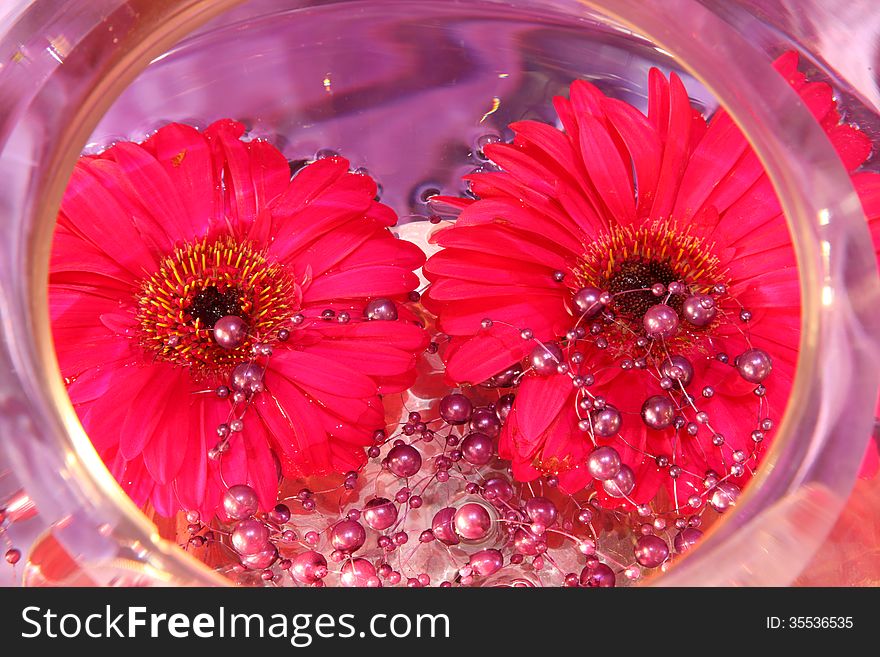 Decoration with daisies floating in water in a glass bowl. Decoration with daisies floating in water in a glass bowl.