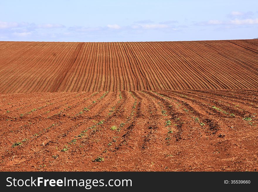 Recently ploughed field with deep red soil. Recently ploughed field with deep red soil