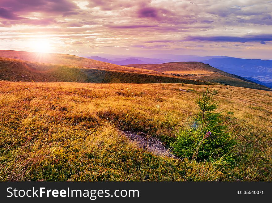 Light On Stone Mountain Slope With Forest