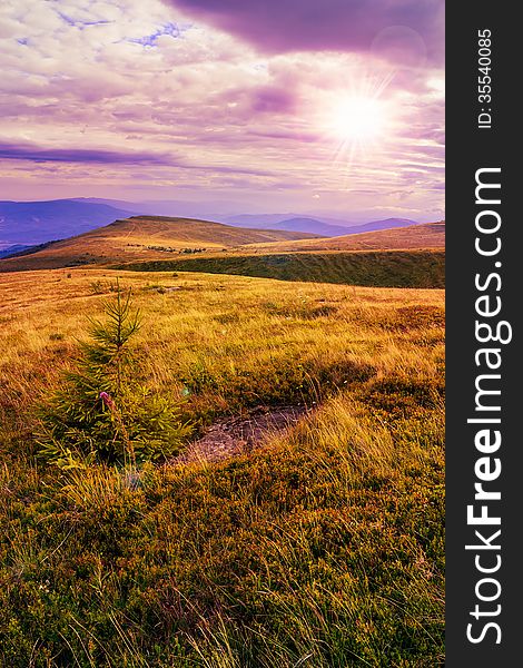 Mountain landscape. valley with stones on the hillside. forest on the mountain under the beam of light falls on a clearing at the top of the hill. Mountain landscape. valley with stones on the hillside. forest on the mountain under the beam of light falls on a clearing at the top of the hill.