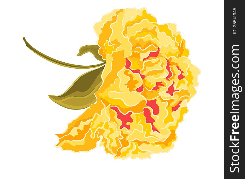Yellow hibiscus full of flowers tropics vector EPS8 illustration