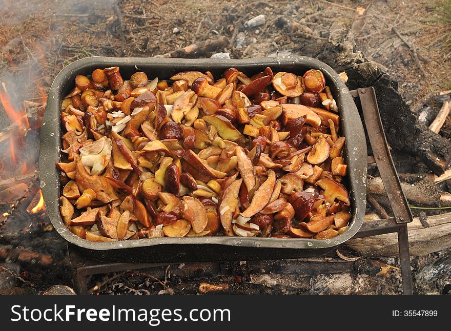 Fried mushrooms. The pan with yellow boletus stands on a stand over the fire.