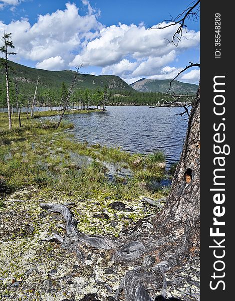 Water summer landscape surrounding the river Suntar in the Highlands of Oymyakon, Yakutia, Russia. Water summer landscape surrounding the river Suntar in the Highlands of Oymyakon, Yakutia, Russia.