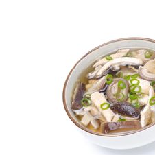 Chinese Soup With Chicken, Shiitake Mushrooms And Green Onions Royalty Free Stock Photos Chinese Soup With Chicken, Shiitake Mushrooms And Green Onions Royalty Free Stock Photos
