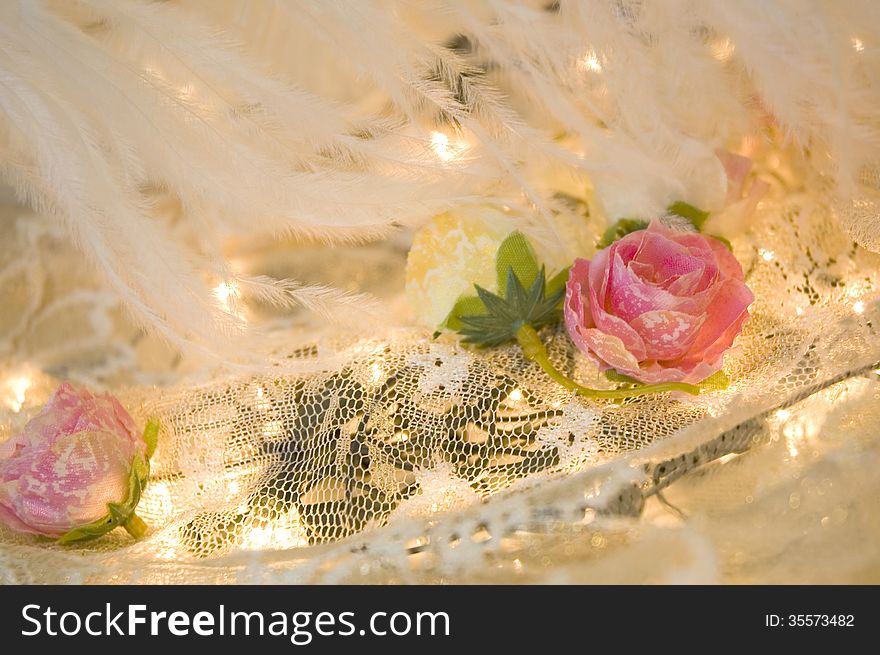 Roses and feather on lace with soft lighting. Roses and feather on lace with soft lighting