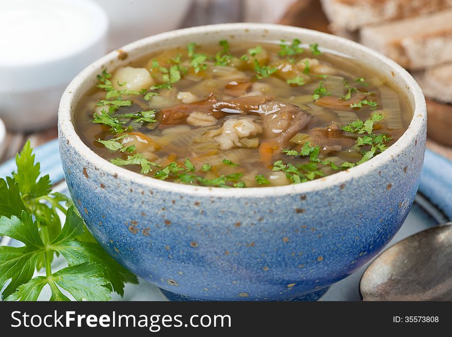 Mushroom soup with pearl barley, close-up, horizontal