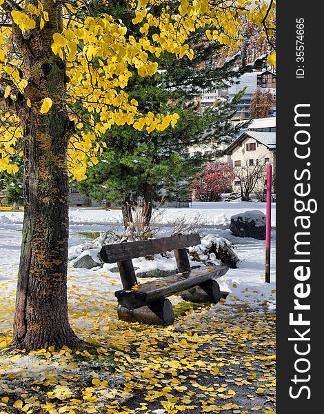 Bench in the park with yellow leaves and snow