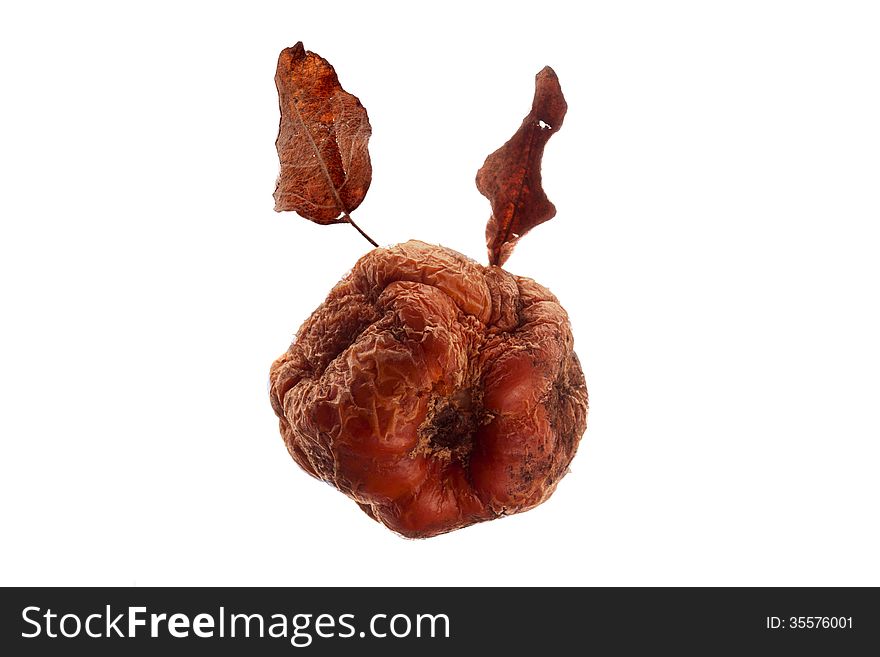 Brown dried apple on a white background