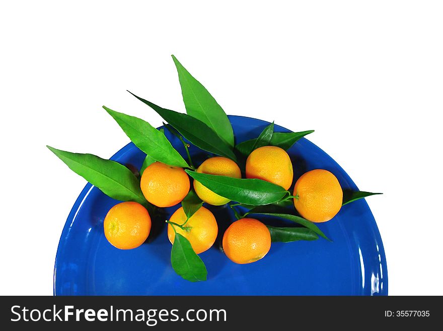 Mandarins on a dark blue plate - isolated object white background