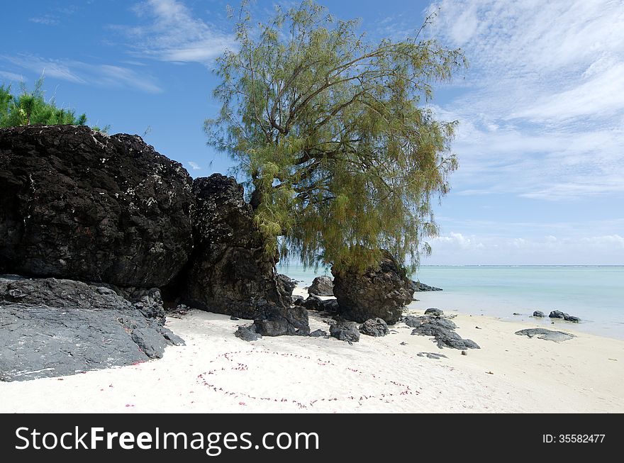 Landscape of  Arutanga island in Aitutaki Lagoon Cook Islands