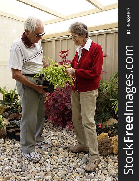 An elderly couple inspect the leaves of a potted fern from their shade house. An elderly couple inspect the leaves of a potted fern from their shade house.