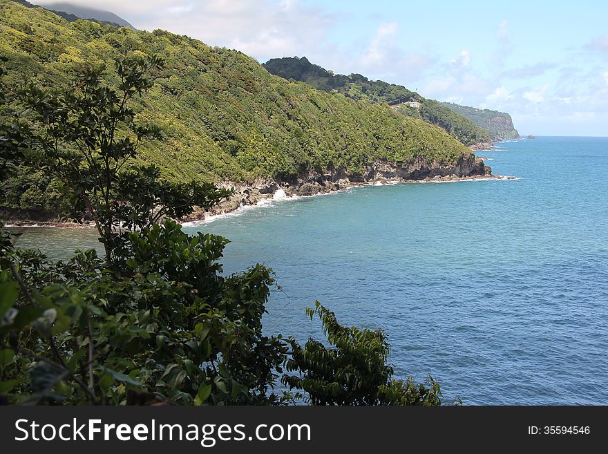 Taken in the north eastern area of Dominica in the Caribbean. Taken in the north eastern area of Dominica in the Caribbean.