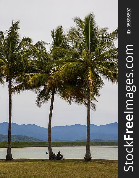 Relaxing under Coconut trees on shoreline with distant mountains