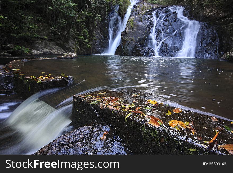 Waterfall and pool in deep rainforest river with fallen leaves. Waterfall and pool in deep rainforest river with fallen leaves