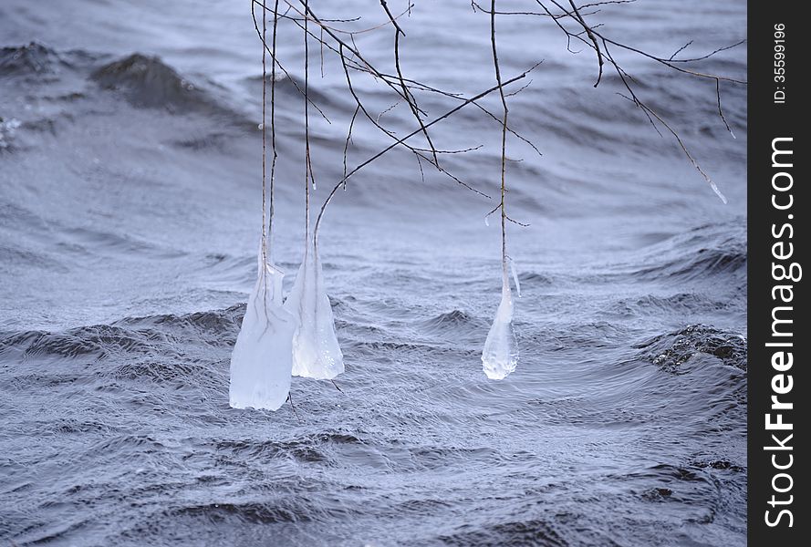 Beautiful Natural Ice Ornaments on the Trees. Unusual Winter Landscape