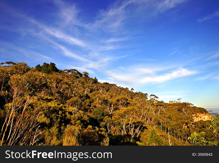 The Blue Mountains National Park is a national park in New South Wales, Australia. The Blue Mountains National Park is a national park in New South Wales, Australia