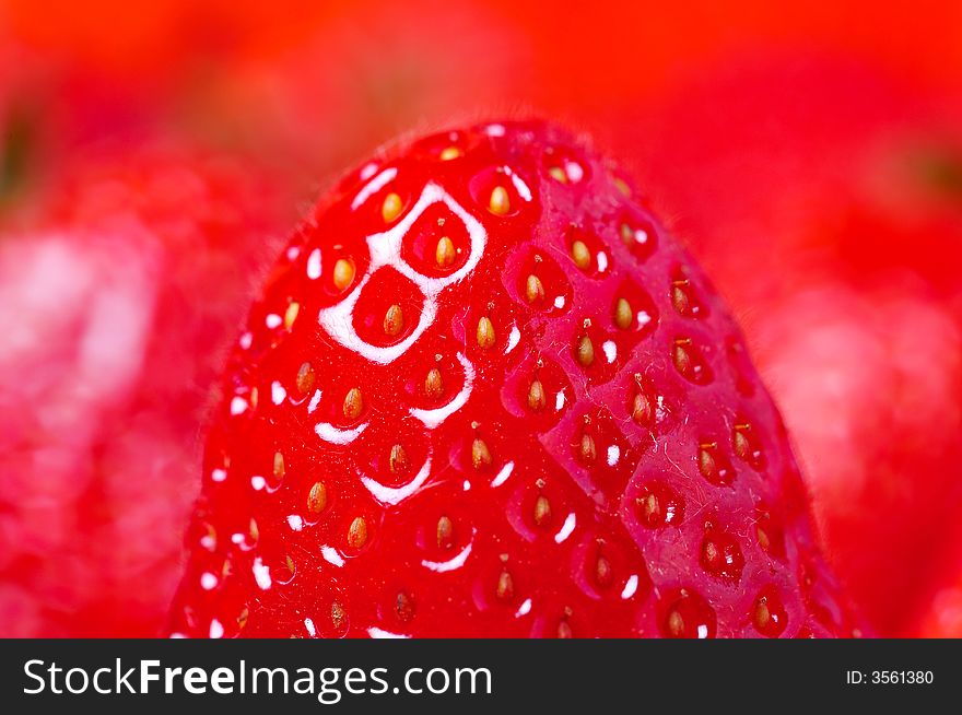 Detail of fresh bright red strawberry. Detail of fresh bright red strawberry