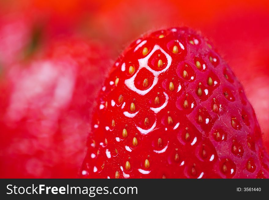 Detail of fresh bright red strawberry. Detail of fresh bright red strawberry