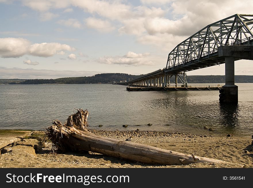 Seattle, Washington -- a fallen tree trunk lying on the shore where bridges are risen. The irony of it all. Seattle, Washington -- a fallen tree trunk lying on the shore where bridges are risen. The irony of it all.
