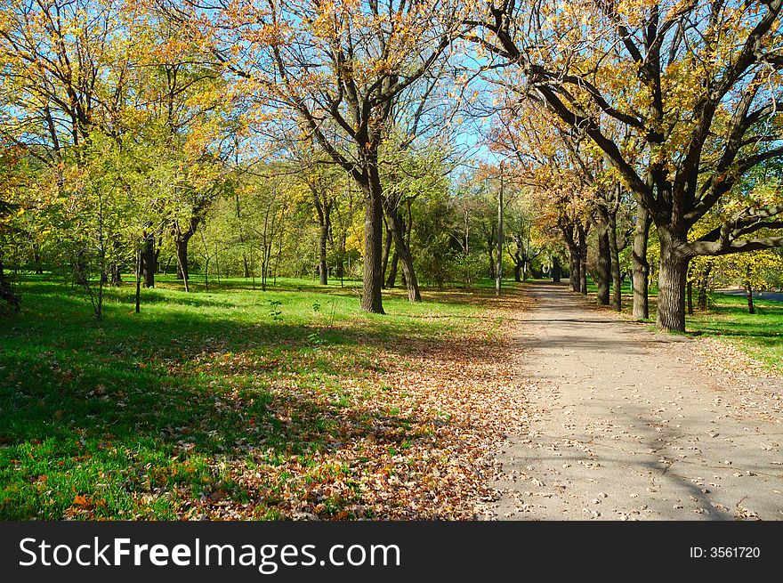 Autumn Alley. Odessa, Ukraine, Black Sea.