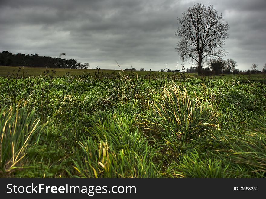 Stormy cold and blustery day over a desolate empty field. Stormy cold and blustery day over a desolate empty field