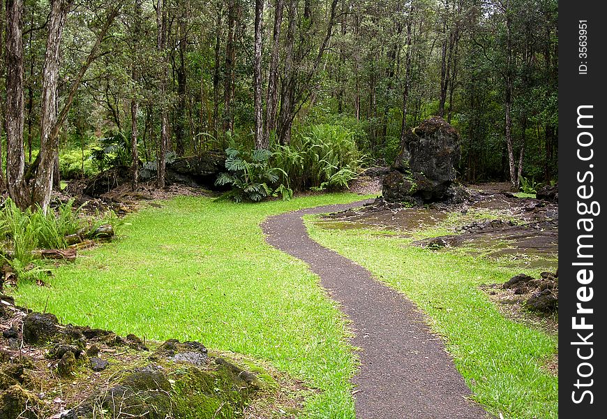 Garden Pathway