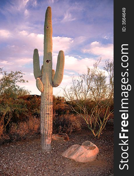 Beautiful summer shot of Arizona. The view of the valley is amazing. Beautiful summer shot of Arizona. The view of the valley is amazing.