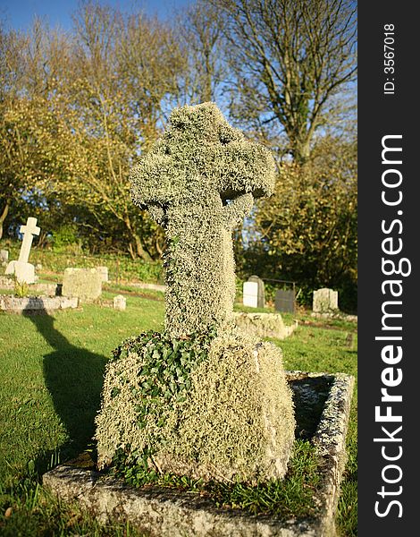 Very old gravestone covered in ivy in a graveyard in cornwall