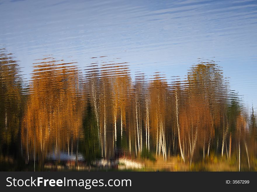 Water reflections. Lithuania, Verkiu regional park. Water reflections. Lithuania, Verkiu regional park.