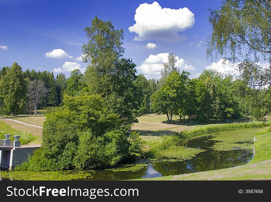 Path And Pond In Park