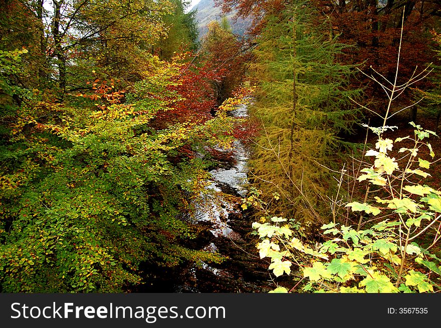 Autumn Colours, at Glen Lyon, Scotland U.K. Located in Perthshire, the glen stretches for 32 miles &#x28;51 km&#x29; and forms part of the 48,400 hectares Loch Rannoch and Glen Lyon National Scenic Area. Glen Lyon was described by Sir Walter Scott as the longest, loneliest and loveliest glen in Scotland while Wordsworth, Tennyson, Gladstone and Baden Powell have also sung its praises in the past. The River Lyon runs through the glen and tumbles through corries, gorges and riverine meadows. The pools near Bridge of Balgie are accessible, with the added benefit of parking and a little tearoom nearby. Two remote lochs &#x28;Loch Lyon and Loch an Daimh&#x29; lie in the wild upper reaches of the glen and the hauntingly beautiful remnants of the ancient Caledonian forest are also visible. Autumn Colours, at Glen Lyon, Scotland U.K. Located in Perthshire, the glen stretches for 32 miles &#x28;51 km&#x29; and forms part of the 48,400 hectares Loch Rannoch and Glen Lyon National Scenic Area. Glen Lyon was described by Sir Walter Scott as the longest, loneliest and loveliest glen in Scotland while Wordsworth, Tennyson, Gladstone and Baden Powell have also sung its praises in the past. The River Lyon runs through the glen and tumbles through corries, gorges and riverine meadows. The pools near Bridge of Balgie are accessible, with the added benefit of parking and a little tearoom nearby. Two remote lochs &#x28;Loch Lyon and Loch an Daimh&#x29; lie in the wild upper reaches of the glen and the hauntingly beautiful remnants of the ancient Caledonian forest are also visible.