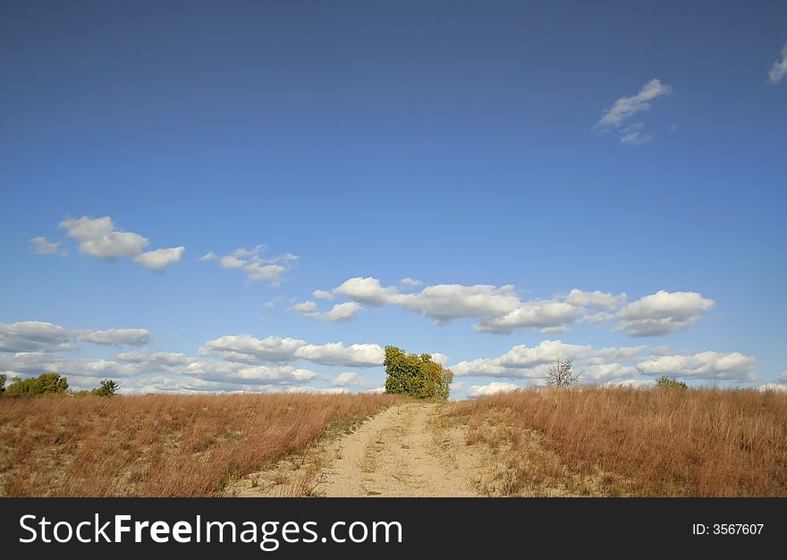 Single tree and rural road in the middle of fields