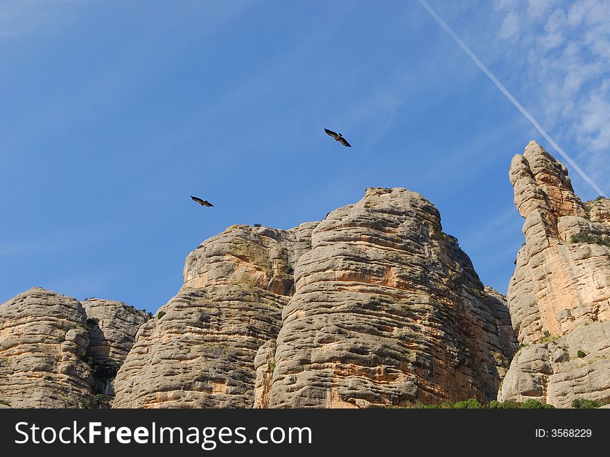 Mountain eagles flying to Pyrenees. Mountain eagles flying to Pyrenees