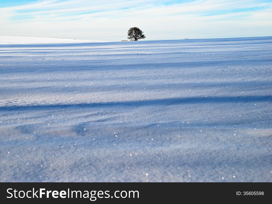 Beautiful winter landscape, Kiev region, Ukraine